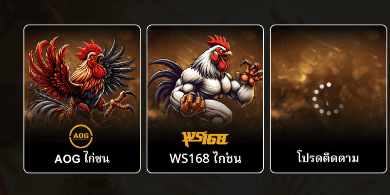 ประโยชน์เมื่อเล่นไก่ชน 789BET