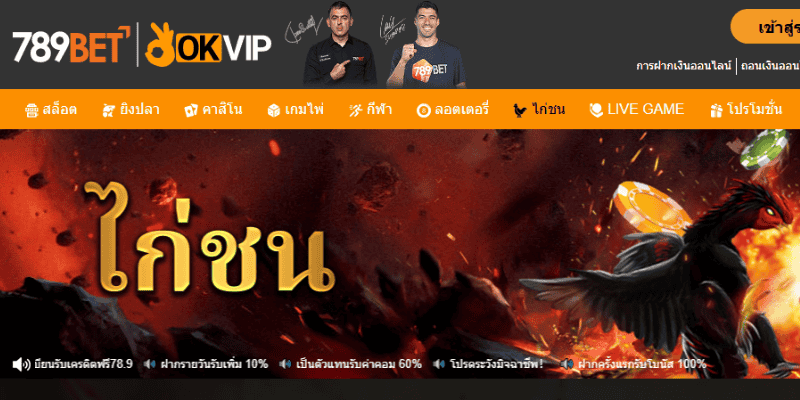 แนะนำไก่ชน 789BET